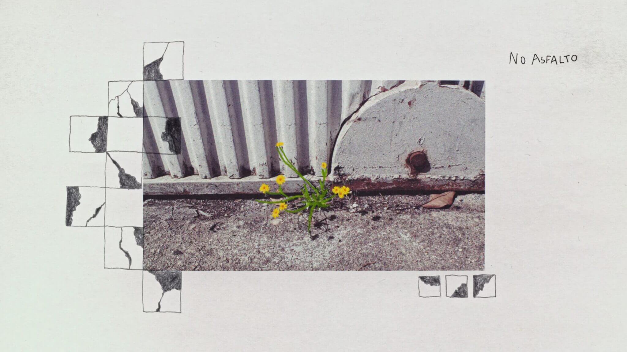studio_kimchi_______